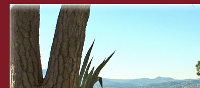 Altstadt Cannes mit Blick aufs Meer von Notre Dame de l´Esperance, Bild 1 von 6