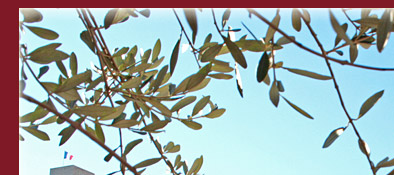 Cannes Busbahnhof in der Altstadt von Cannes Le Suquet, Bild 1 von 6