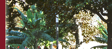 Cannes hat eine üppige Vegetation und viele Plätze zum Verweilen, Bild 3 von 6