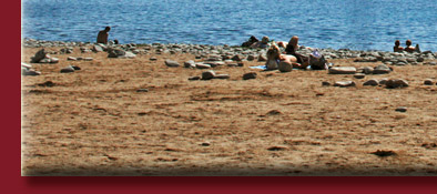 Cote d' Azur, die kleine Insel Ile d´Or am Strand - Plage du Débarquement, Bild 5 von 6