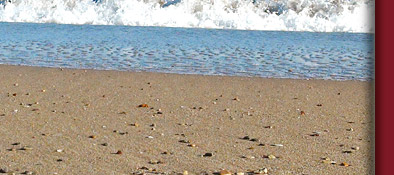 Cote d' Azur, Strand in Frejus an der Cote d' Azur in Südfrankreich am Mittelmeer, Bild 4 von 6