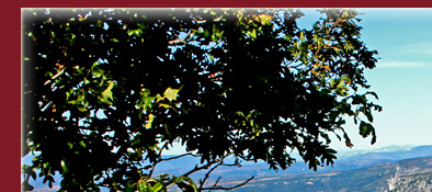 Gorge du Verdon, Grand Canyon du Verdon in S&uuml;dfrankreich am Mittelmeer, Bild 1 von 6