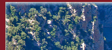 Blick in die Tiefe des Gorge du Verdon auf den Fluss Verdon mit türkisfarbenem Wasser, Provence, Bild 1 von 6