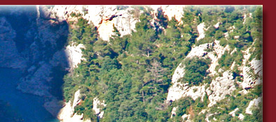 Blick in die Tiefe des Gorge du Verdon auf den Fluss Verdon mit türkisfarbenem Wasser, Provence, Bild 2 von 6