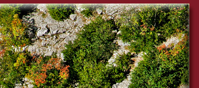 Gorge du Verdon, Erholung am Ufer des Verdon in idyllischer Stille am Grand Canyon, Bild 2 von 6