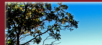 der Fluss Verdon schlängelt sich durch die Schluchten des Gorge du Verdon, Bild 1 von 6