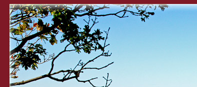 Gorge du Verdon, Blick aus der Ferne auf den Lac de Saint Croix, Provence - Alpes-de-Haute, Bild 1 von 6