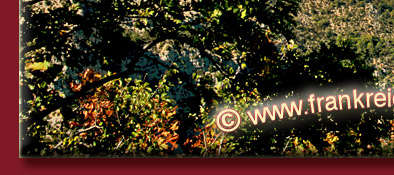 Gorge du Verdon, Blick aus der Ferne auf den Lac de Saint Croix, Provence - Alpes-de-Haute, Bild 5 von 6