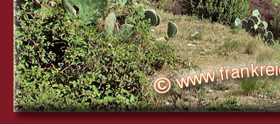 Grimaud, Burgruine in Grimaud mit dem Golfe de Saint-Tropez im Hintergrund, Bild 5 von 6