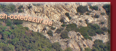 Alte M&uuml;hle und der Friedhof von Grimaud, idyllisch gelegen am Golfe de Saint-Tropez, Bild 2 von 6