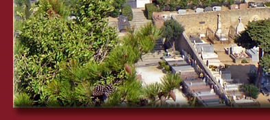 Alte M&uuml;hle und der Friedhof von Grimaud, idyllisch gelegen am Golfe de Saint-Tropez, Bild 5 von 6