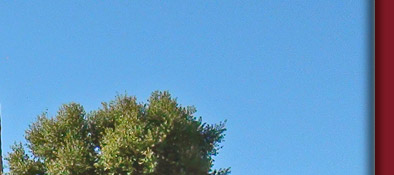 Grimaud, gem&uuml;tliches Verweilen an der M&uuml;hle in der Sonne von S&uuml;dfrankreich, Bild 1 von 6