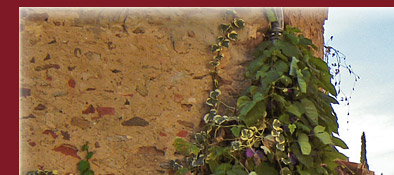 Grimaud, enge G&auml;sschen, vielf&auml;ltige provenzalische Bl&uuml;tenpracht an der Cote d' Azur, Bild 1 von 6