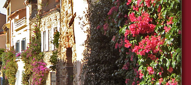 Grimaud, enge G&auml;sschen, vielf&auml;ltige provenzalische Bl&uuml;tenpracht an der Cote d' Azur, Bild 4 von 6