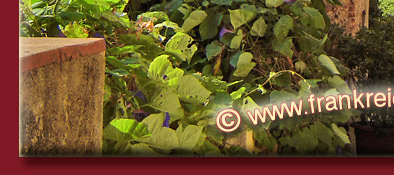 Grimaud, enge G&auml;sschen, vielf&auml;ltige provenzalische Bl&uuml;tenpracht an der Cote d' Azur, Bild 5 von 6