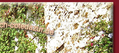 Grimaud, alt gepflasterte Treppe mit h&uuml;bsch ges&auml;umten H&auml;usern im Licht der Sonne, Bild 2 von 6