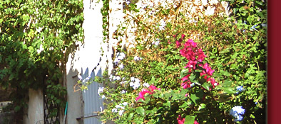 Grimaud, alt gepflasterte Treppe mit h&uuml;bsch ges&auml;umten H&auml;usern im Licht der Sonne, Bild 4 von 6