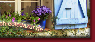 romantisches H&auml;uschen mit h&uuml;bscher Pflanzendekoration in Grimaud am Mittelmeer, Bild 6 von 6