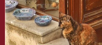gem&uuml;tlicher Souvenirshop im Zentrum von Grimaud mit einer sich wohlf&uuml;hlenden Katze, Bild 3 von 6