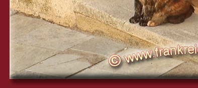 gem&uuml;tlicher Souvenirshop im Zentrum von Grimaud mit einer sich wohlf&uuml;hlenden Katze, Bild 5 von 6