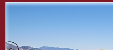 Monaco und einer seiner vielen tropischen exotischen G&auml;rten, Bild 1 von 6