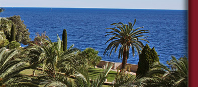 Monaco und einer seiner vielen tropischen exotischen G&auml;rten, Bild 4 von 6