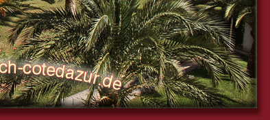 Monaco und einer seiner vielen tropischen exotischen G&auml;rten, Bild 6 von 6