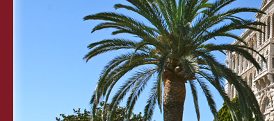 Jacques Cousteau Museum in Monaco an der Cote d' Azur, Bild 3 von 6