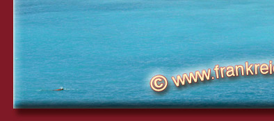 Strandleben in Nizza an der Cote d' Azur, im Hintergrund die Altstadt von Nizza, Bild 5 von 6