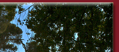 Wasserfall in Nizza auf dem Schlossberg mit Weitblick auf Nizza, Bild 2 von 6