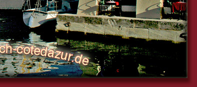 Port Grimaud  Sehenswürdigkeiten erkunden mit dem Boot, Bild 6 von 6