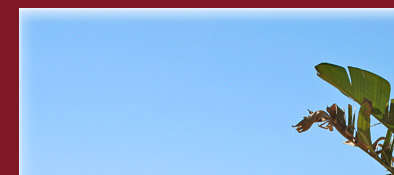 Sainte-Maxime Strand, feiner Sandstrand in Sainte Maxime im Golfe de Saint-Tropez, Bild 1 von 6