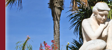 Sainte-Maxime ein blühender Garten in Südfrankreich an der Cote d' Azur, Bild 3 von 6