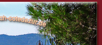 Saint-Tropez Kirche - Eglise Paroissiale in der Rue Saint Jean in Saint-Tropez, Bild 2 von 6