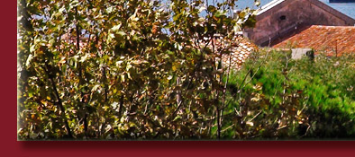 Saint-Tropez Kirche - Eglise Paroissiale in der Rue Saint Jean in Saint-Tropez, Bild 5 von 6