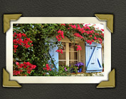 romantisches H&auml;uschen mit h&uuml;bscher Pflanzendekoration in Grimaud am Mittelmeer